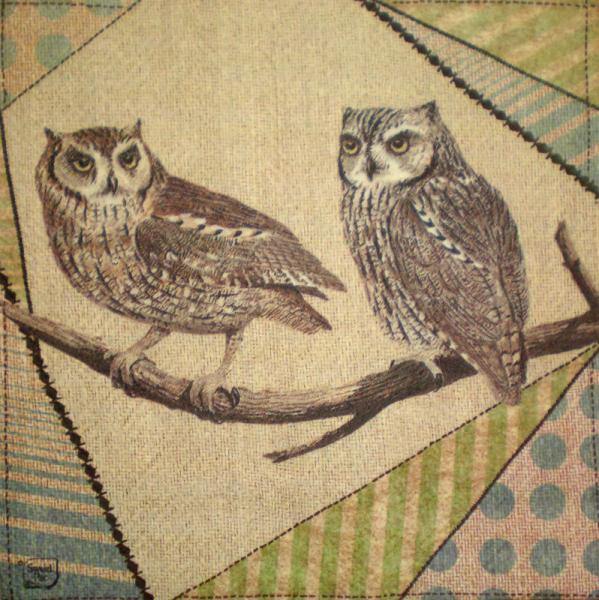 004 Owls - 3-ply - Sweet Pac